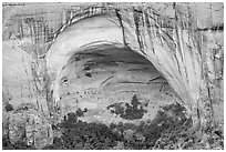 Sandstone alcove with Betatakin Anasazi ruins. Navajo National Monument, Arizona, USA ( black and white)