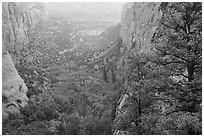 Rain, Betatakin Canyon. Navajo National Monument, Arizona, USA ( black and white)
