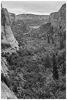Betatakin Canyon in early autumn. Navajo National Monument, Arizona, USA ( black and white)