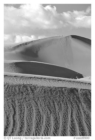 Sand dunes, early morning. Canyon de Chelly  National Monument, Arizona, USA (black and white)
