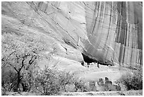 White House Ancestral Pueblan ruins with trees in fall colors. Canyon de Chelly  National Monument, Arizona, USA ( black and white)