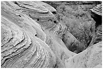 Sandstone Swirls. Canyon de Chelly  National Monument, Arizona, USA ( black and white)
