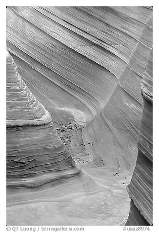 The Wave, lateral formation. Vermilion Cliffs National Monument, Arizona, USA (black and white)