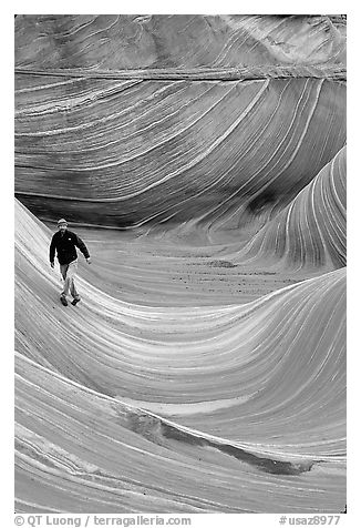 Hiker balances himself in the Wave. Coyote Buttes, Vermilion cliffs National Monument, Arizona, USA (black and white)