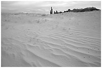 Pink sand and Yei bi Chei. Monument Valley Tribal Park, Navajo Nation, Arizona and Utah, USA ( black and white)