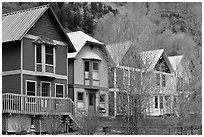 Houses with pastel colors and newly leafed trees. Telluride, Colorado, USA (black and white)