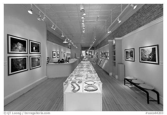 Gallery of fine art. Telluride, Colorado, USA (black and white)