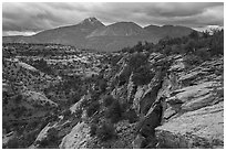 Sand Canyon. Canyon of the Ancients National Monument, Colorado, USA ( black and white)