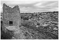 Twin Towers and  Little Ruin Canyon. Hovenweep National Monument, Colorado, USA ( black and white)