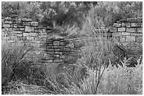 Partly excavated wall of Lower House. Yucca House National Monument, Colorado, USA ( black and white)