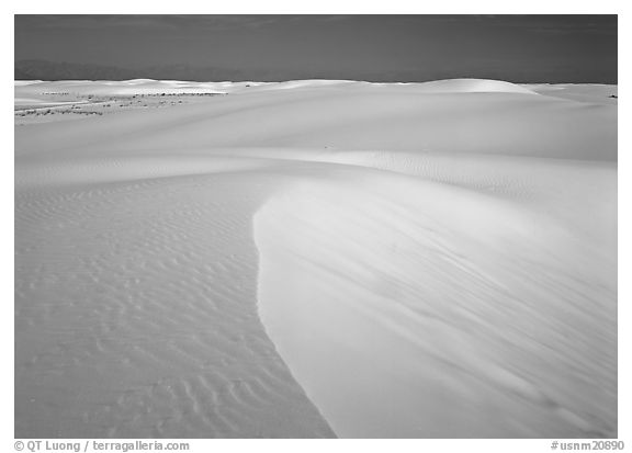 White sand dunes. White Sands National Park (black and white)