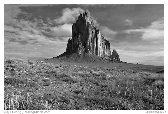 Wildflowers and Shiprock. Shiprock, New Mexico, USA