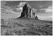 Wildflowers and Shiprock. Shiprock, New Mexico, USA (black and white)