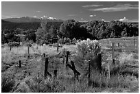 Woden crosses, cemetery, Picuris Pueblo. New Mexico, USA (black and white)