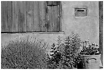 Flowers, mailbox, and weathered window. Santa Fe, New Mexico, USA ( black and white)