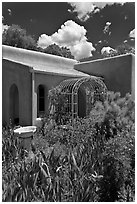 Garden and adobe house. Santa Fe, New Mexico, USA (black and white)