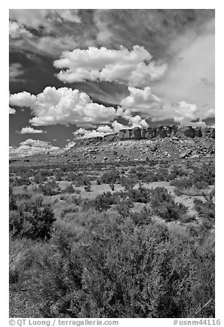 Canyon floor, cliffs, and clouds. Chaco Culture National Historic Park, New Mexico, USA