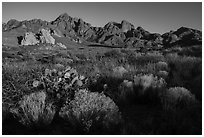 Desert plants, rock spires, Organ Peak, and Baldy Peak. Organ Mountains Desert Peaks National Monument, New Mexico, USA ( black and white)
