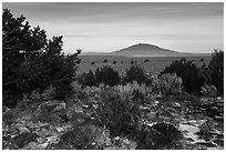 Sagebrush, desert plants, and Ute Mountain. Rio Grande Del Norte National Monument, New Mexico, USA ( black and white)