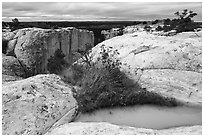 Rainwater pool on top of sandstone cliffs. El Morro National Monument, New Mexico, USA ( black and white)