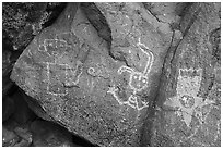 Petroglyphs including a star person, Petroglyph National Monument. New Mexico, USA ( black and white)