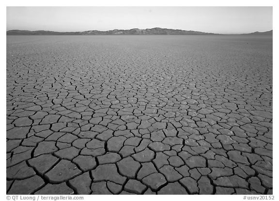 Cracked mud flat at sunrise, Black Rock Desert. USA (black and white)