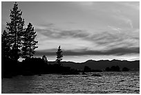 Shoreline with pine trees and rocks, Sand Harbor, East Shore, Lake Tahoe, Nevada. USA ( black and white)