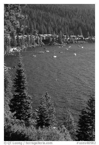 Incline Village, North shore, Lake Tahoe, Nevada. USA (black and white)
