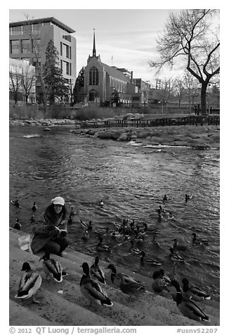 Woman feeding ducks on steps of Truckee River. Reno, Nevada, USA (black and white)