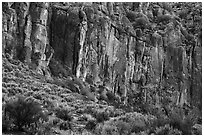 Volcanic rhyolite cliffs, White River Narrows Archeological District. Basin And Range National Monument, Nevada, USA ( black and white)