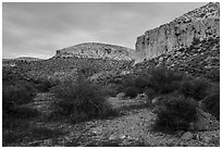 Cliffs at sunset, White River Narrows Archeological District. Basin And Range National Monument, Nevada, USA ( black and white)