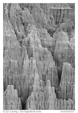 Shale and mudstone eroded in fantastic shapes, Cathedral Gorge State Park. Nevada, USA (black and white)