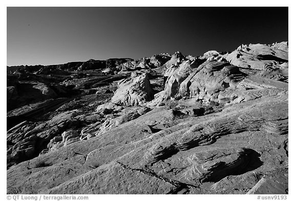 Colorful sandstone formations, early morning, Valley of Fire State Park. Nevada, USA (black and white)