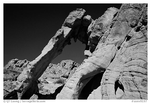 Elephant-shaped rock, Valley of Fire State Park. Nevada, USA (black and white)