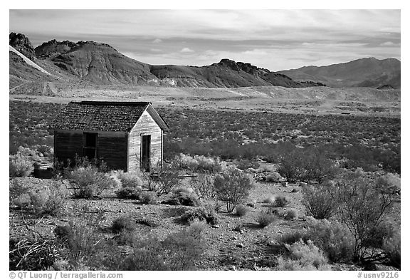 Cabin, Rhyolite ghost town. Nevada, USA (black and white)