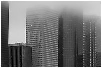 Skyscrapers in the fog at dawn. Houston, Texas, USA ( black and white)