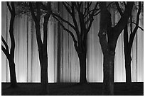 Trees and back Gerald D. Hines Waterwall at night. Houston, Texas, USA ( black and white)