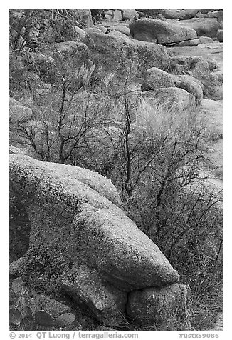 Boulders and shurbs, Enchanted Rock state park. Texas, USA (black and white)