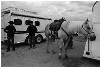 Horse, trailers, and rodeo contestants. Fort Worth, Texas, USA ( black and white)