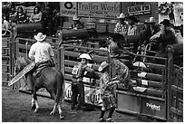 Gates, Stokyards Rodeo. Fort Worth, Texas, USA ( black and white)