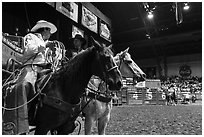 Men riding horses holding lassos. Fort Worth, Texas, USA ( black and white)