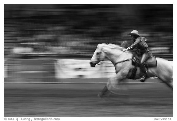 Woman on galloping horse, Stokyards Championship Rodeo. Fort Worth, Texas, USA (black and white)