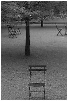 Chairs and trees in courtyard of Dallas Museum of Art. Dallas, Texas, USA ( black and white)