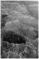 Chessmen Ridge and Canyon. Cedar Breaks National Monument, Utah, USA ( black and white)