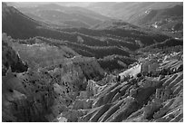 Eroded ridges and forest. Cedar Breaks National Monument, Utah, USA ( black and white)