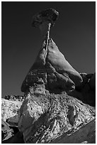 Toadstool hoodoo, Rimrocks. Grand Staircase Escalante National Monument, Utah, USA ( black and white)