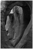 Large arches in Peek-a-Boo slot canyon. Grand Staircase Escalante National Monument, Utah, USA ( black and white)