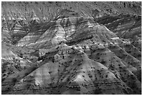 Chinle formation badlands, Old Paria. Grand Staircase Escalante National Monument, Utah, USA ( black and white)