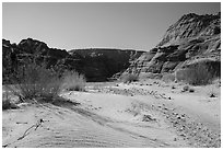 Sand dune. Paria Canyon Vermilion Cliffs Wilderness, Arizona, USA ( black and white)
