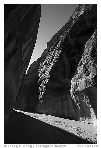 Narrow band of sunlight in canyon. Paria Canyon Vermilion Cliffs Wilderness, Arizona, USA (black and white)